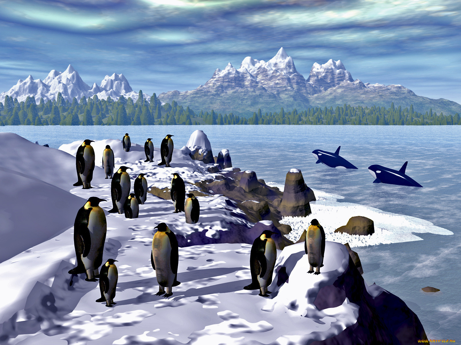 3, , animals, 